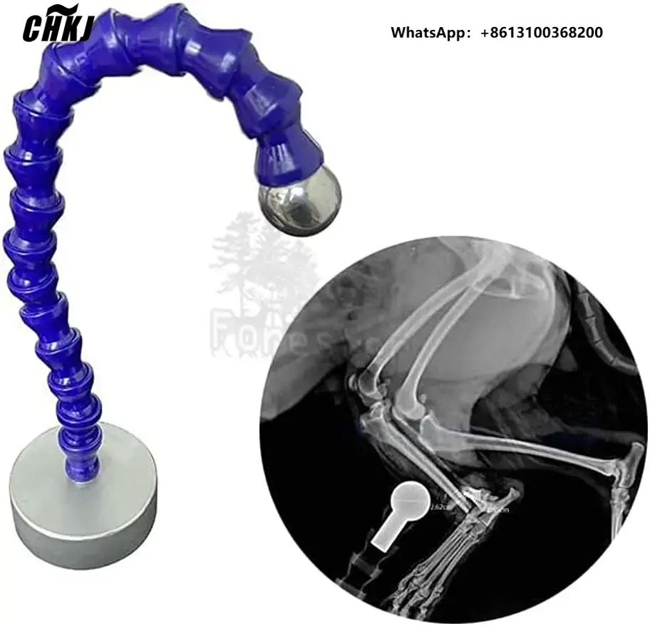 Veterinary X-Ray - ลูกบอลอ้างอิงรังสีเอ็กซ์ สำหรับเครื่องมือถ่ายภาพรังสีทางออร์โธปิดิกส์ สำหรับสัตว์ เส้นผ่านศูนย์กลาง 25 มม.